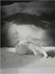 Dora MAAR (1907-1997), sans-titre (main-coquillage), 1934, photomontage, 40,1 cm x 28,9 cm, centre Pompidou, Paris
