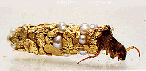 Hubert DUPRAT, larves de trichoptères - 1980-1997