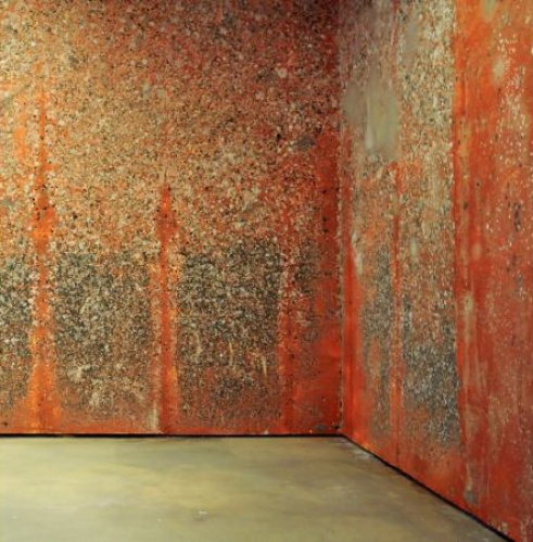 Michel BLAZY (1966-), mur de poils de carottes, 2000, 180 kg de carottes, 2 kg de pommes de terre, eau, Les abattoirs, Toulouse